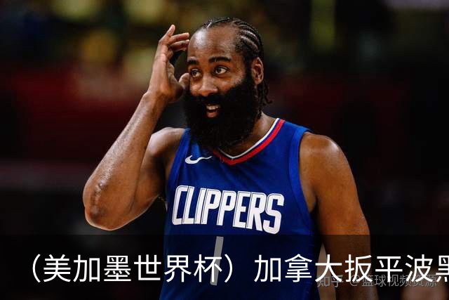 （美加墨世界杯）加拿大扳平波黑 获队史世界杯首分